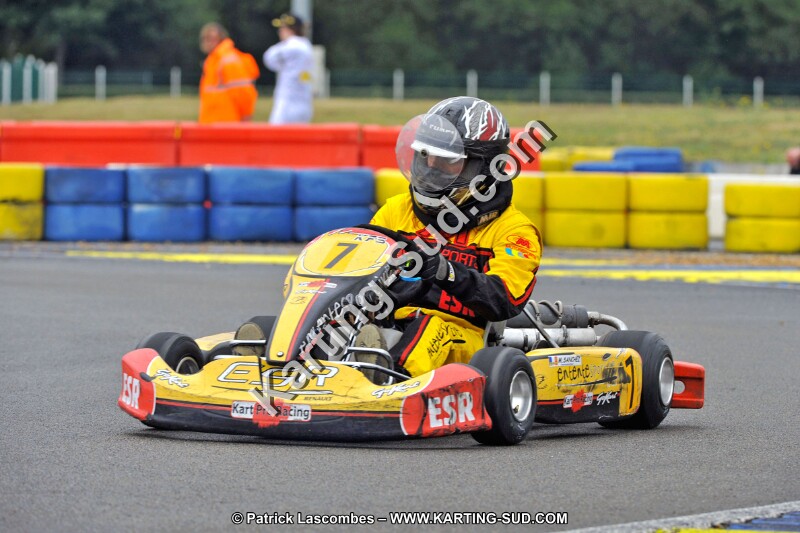 DSC_ (462).jpg